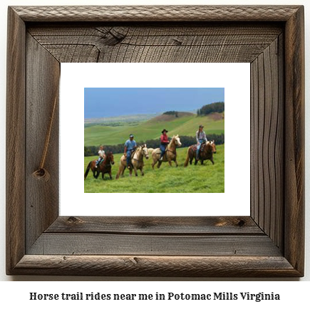 horse trail rides near me in Potomac Mills, Virginia